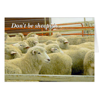Baaaaa!- Keep in Touch! Cards