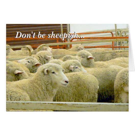 Baaaaa!- Keep in Touch! Cards (Front Horizontal)