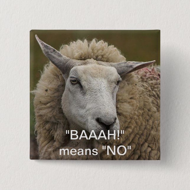 BAAAH! PINBACK BUTTON (Front)