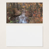 Babbling Brook (Front & Back)