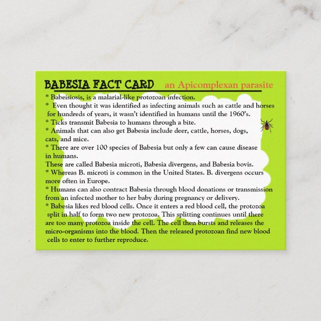 Babesia Fact Educational Card (Front)