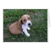 babies (8) (Front Horizontal)