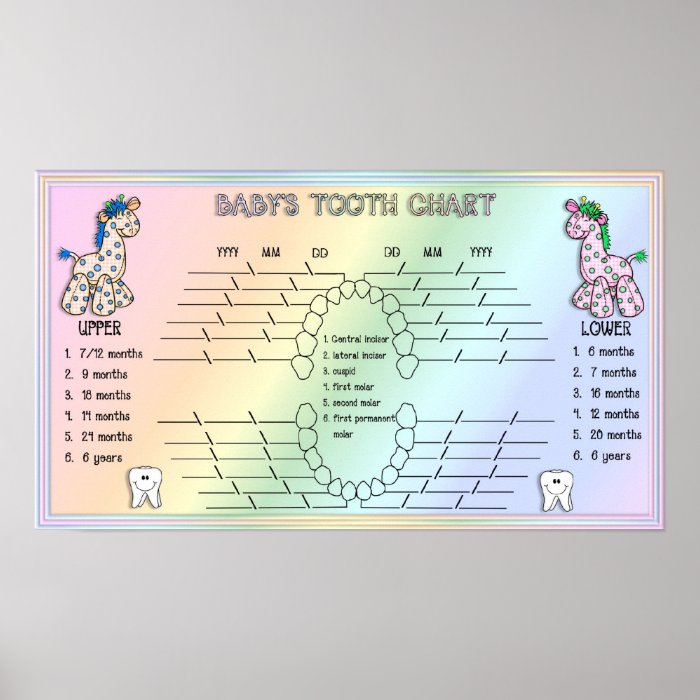 Babies Tooth Chart Posters