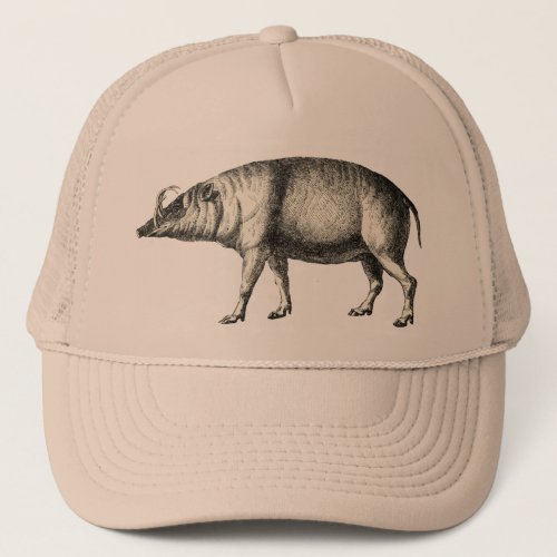 Babirusa Wild Pig Boar Hog Warthog Vintage Art Hat