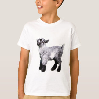 Bably Miniature Goat Shirt