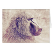 Baboon (Front Horizontal)