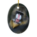 Baboon Face Ornament