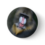 Baboon Face Round Button