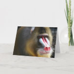 Baboon Greeting Card