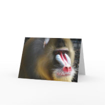Baboon Greeting Card