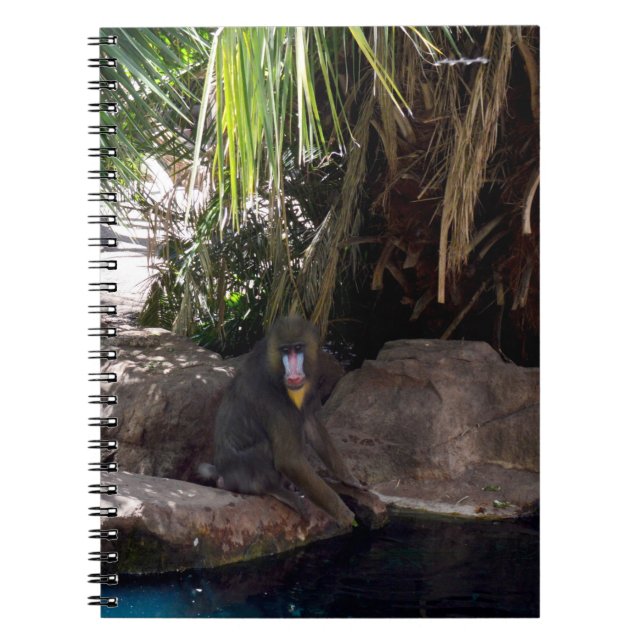 Baboon In Paradise,  Notebook (Front)