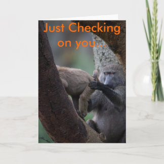 Baboon Inspection, Just Checking on you... Card