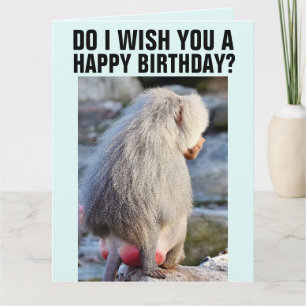 BABOON MONKEY BUTT FUNNY BIRTHDAY GREETING CARD