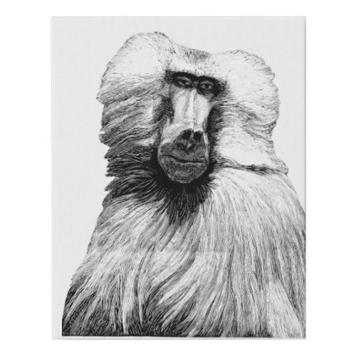 Baboon Monkey Jungle Safari Illustration nature  Faux Canvas Print