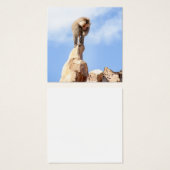 Baboon monkey on top of a mountain (Front & Back)