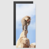 Baboon monkey on top of a mountain (Front/Back)