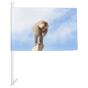 Baboon monkey on top of a mountain car flag