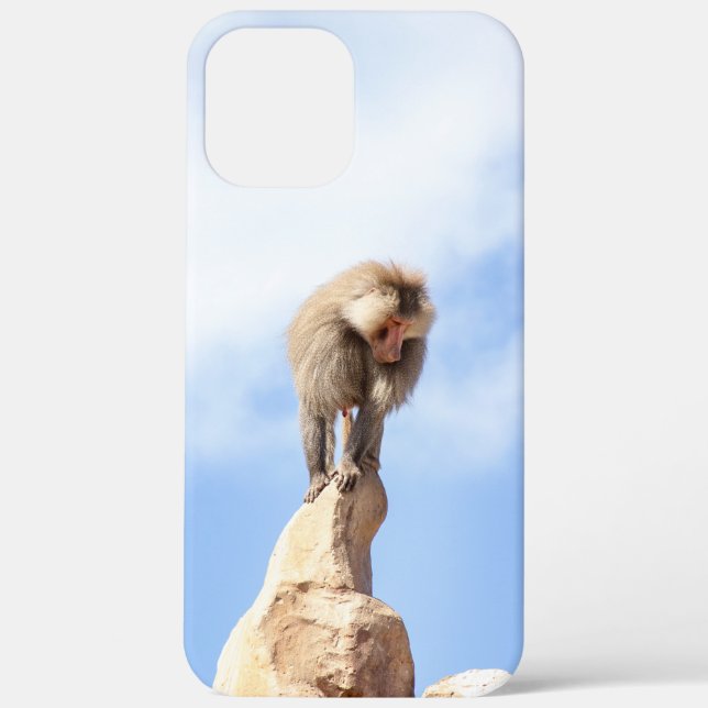 Baboon monkey on top of a mountain Case-Mate iPhone case (Back)