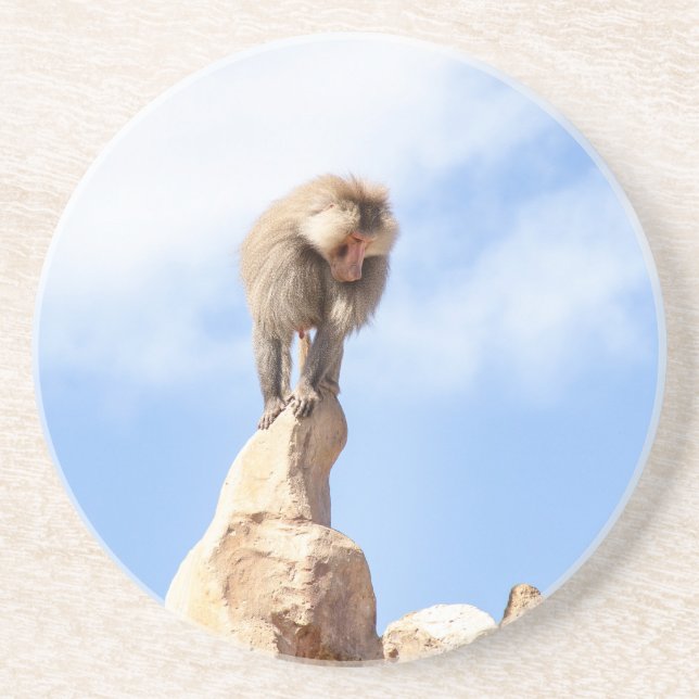 Baboon monkey on top of a mountain coaster (Front)