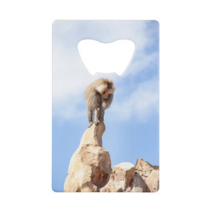 Baboon monkey on top of a mountain credit card bottle opener