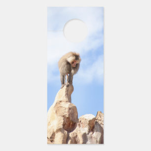 Baboon monkey on top of a mountain door hanger