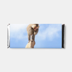 Baboon monkey on top of a mountain hershey bar favors