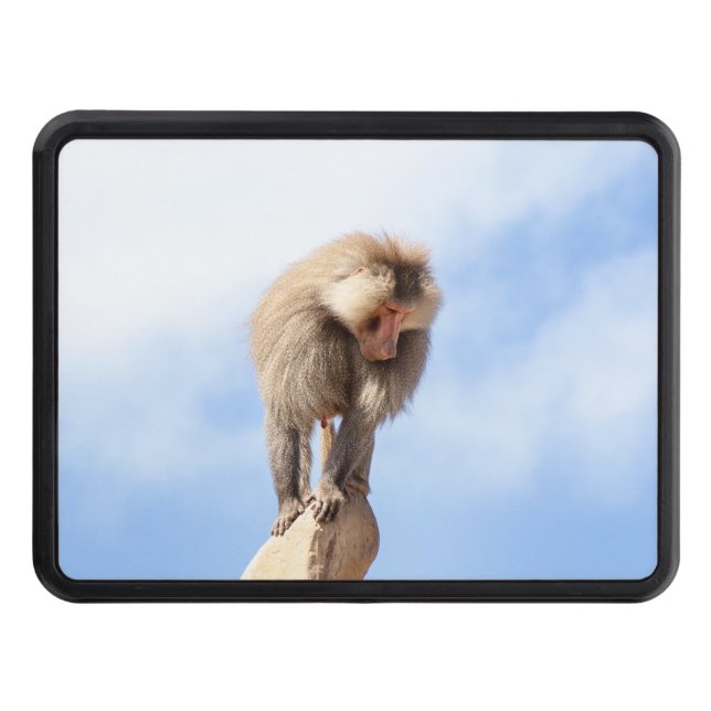 Baboon monkey on top of a mountain hitch cover (Front)