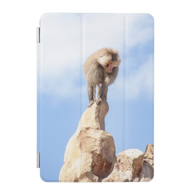 Baboon monkey on top of a mountain iPad mini cover (Front)