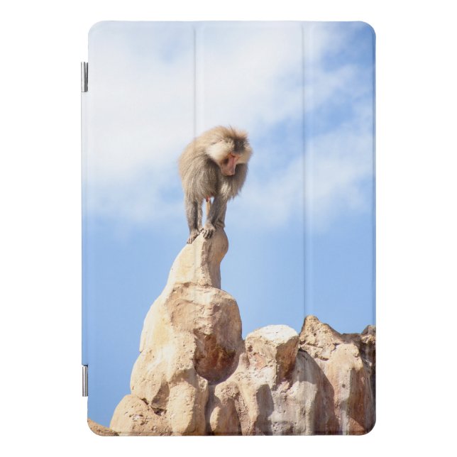 Baboon monkey on top of a mountain iPad pro cover (Front)
