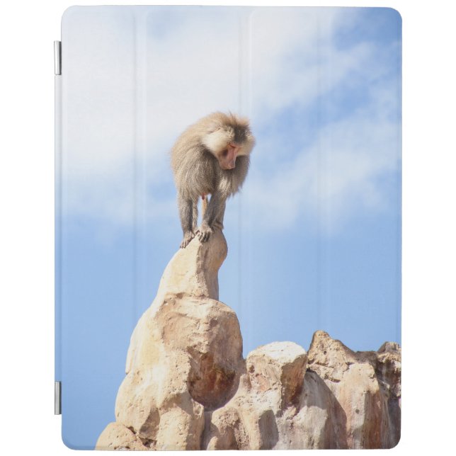 Baboon monkey on top of a mountain iPad smart cover (Front)