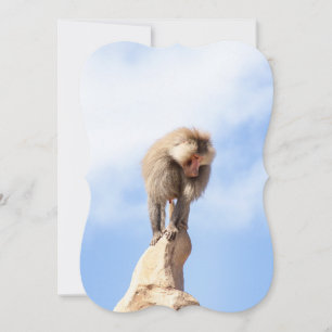 Baboon monkey on top of a mountain note card