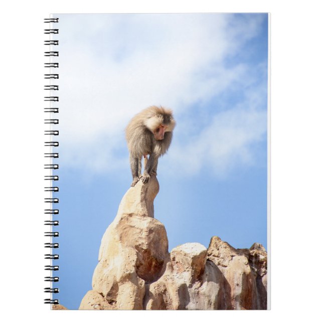 Baboon monkey on top of a mountain notebook (Front)