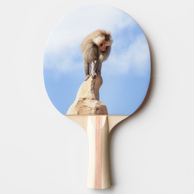 Baboon monkey on top of a mountain ping pong paddle (Front)