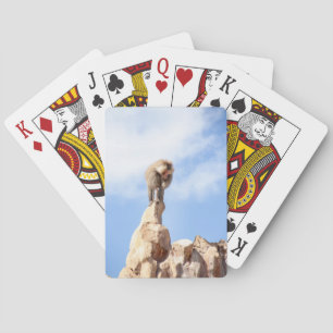 Baboon monkey on top of a mountain poker cards