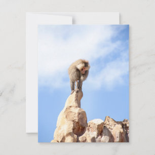 Baboon monkey on top of a mountain thank you card
