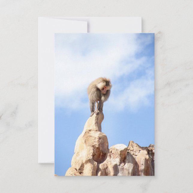 Baboon monkey on top of a mountain thank you card (Front)