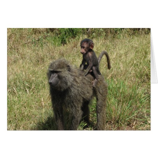 Baboon mother & baby cards (Front Horizontal)