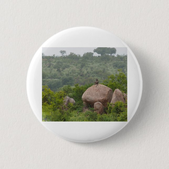 Baboon on a Rock Button (Front)