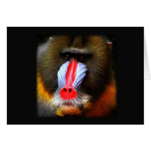 Baboon Portrait Cards (Front Horizontal)