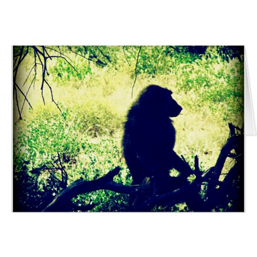 Baboon Silhouette Cards (Front Horizontal)
