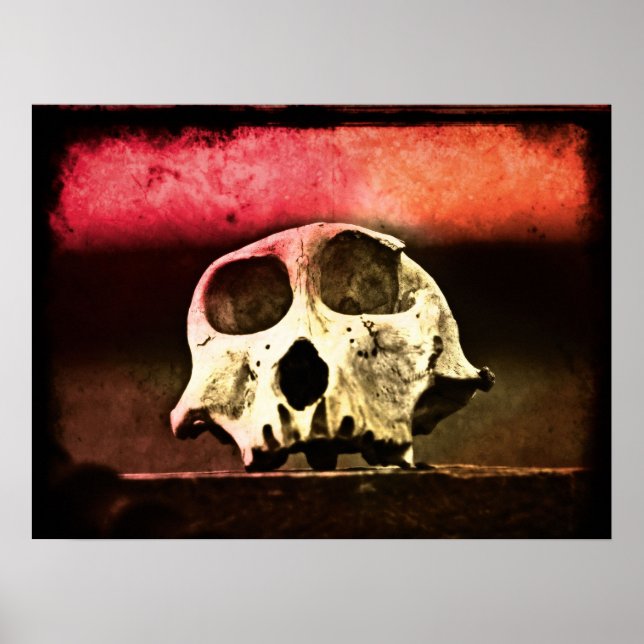 Baboon Skull Sunset Art Poster (Front)