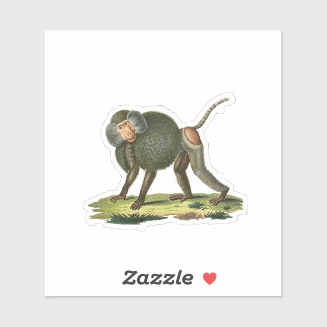 Baboon Sticker (Sheet)