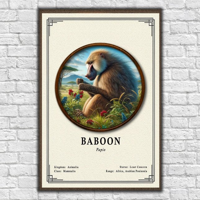 Baboon Zoology Series Poster (Creator Uploaded)