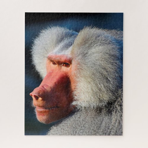 Baboons Jigsaw Puzzle