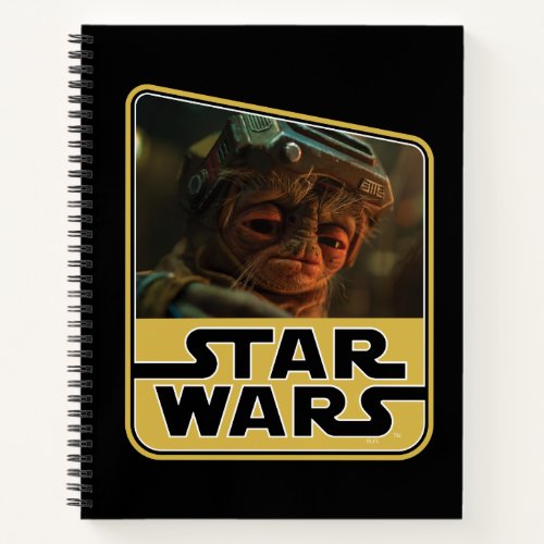 Babu Frik Notebook