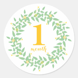 Baby 1 Month Classic Round Sticker, Glossy Sticker