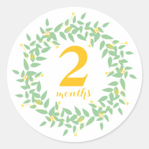 2 Months Stickers | Zazzle