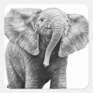 Baby African Elephant Sticker