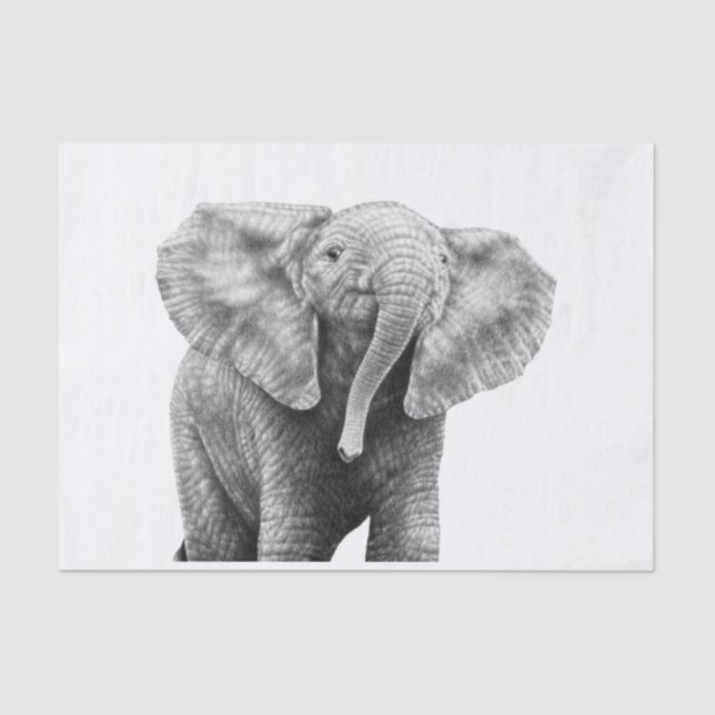 Baby African Elephant Tissue Paper (Front)
