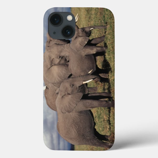 Baby African Elephant with family Case-Mate iPhone Case (Back)